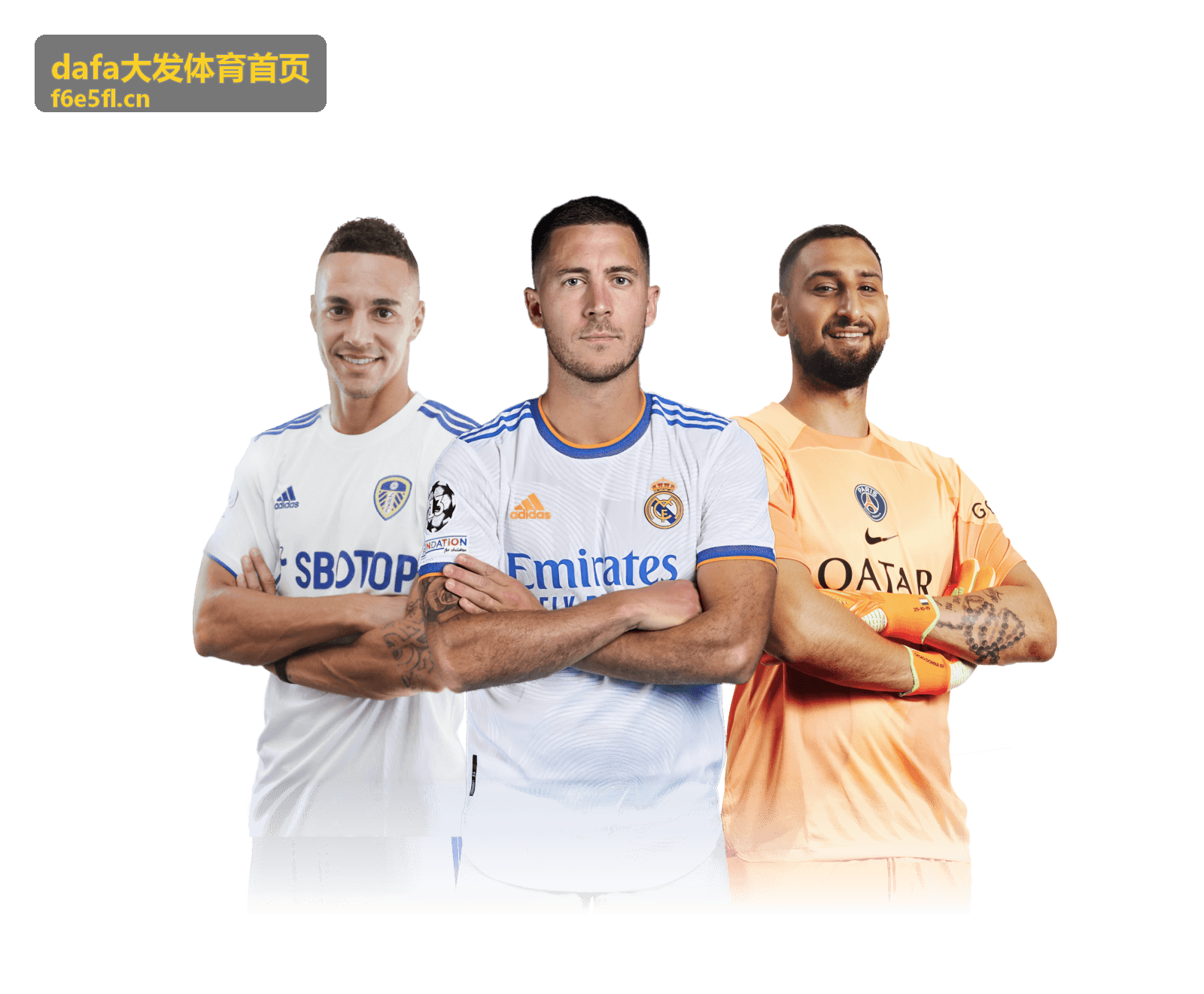 dafa大发体育首页球迷观点专题